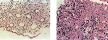 0514467057971200.jpg 05.jpg