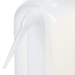 Nalgene™ Unitary™ LDPE 洗瓶