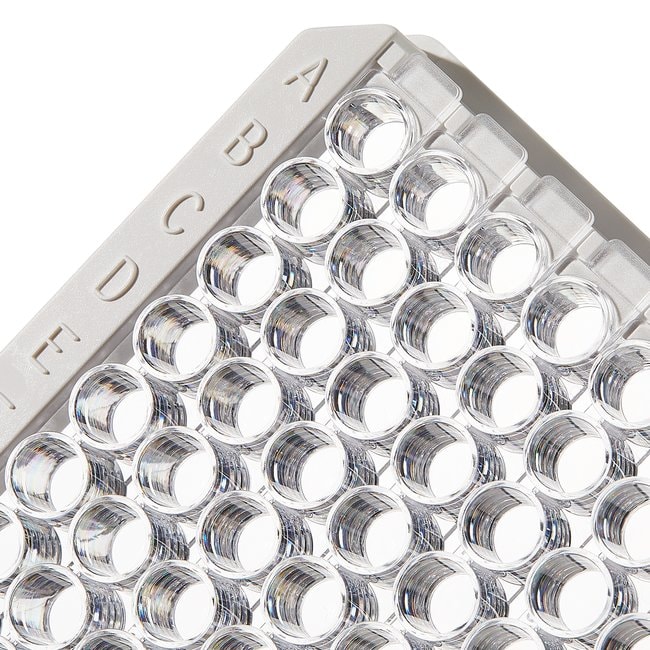 Immuno Clear Standard Modules, F8, MaxiSorp, framed, certified