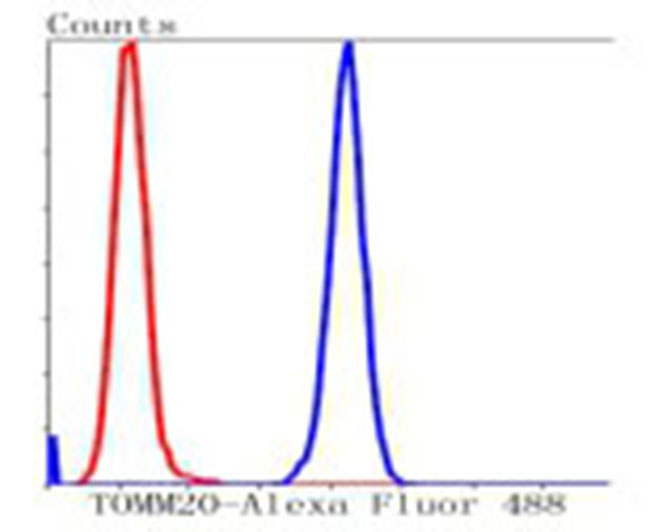 TOMM20 Rabbit Monoclonal Antib