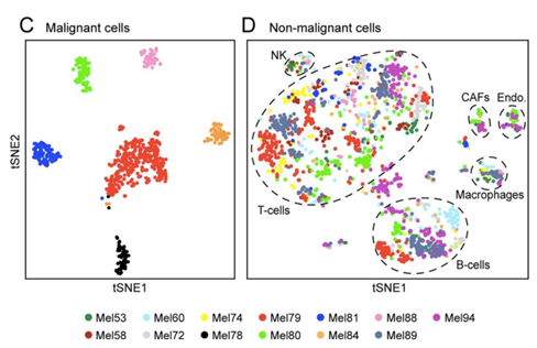 单细胞测序服务SMCXFW