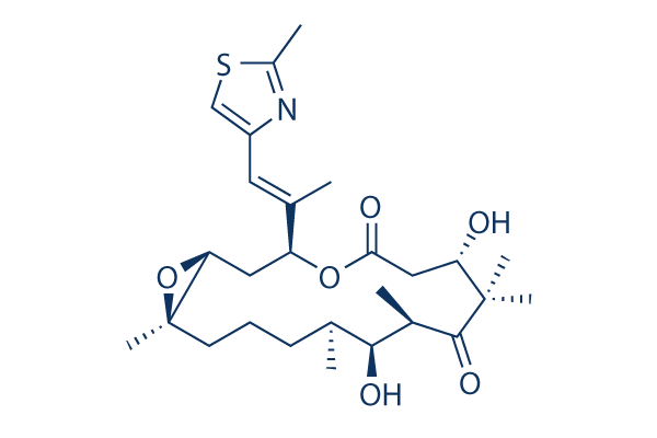 Epothilone B (Microtubule Asso