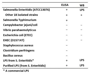 Salmonella enteritidis LPS ant