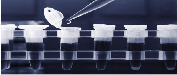 6-Deoxy-3-O-methyl-β-allopyran