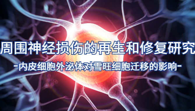 IF=9.5 Umibio GW4869 抑制剂助力客户神经再生研究！