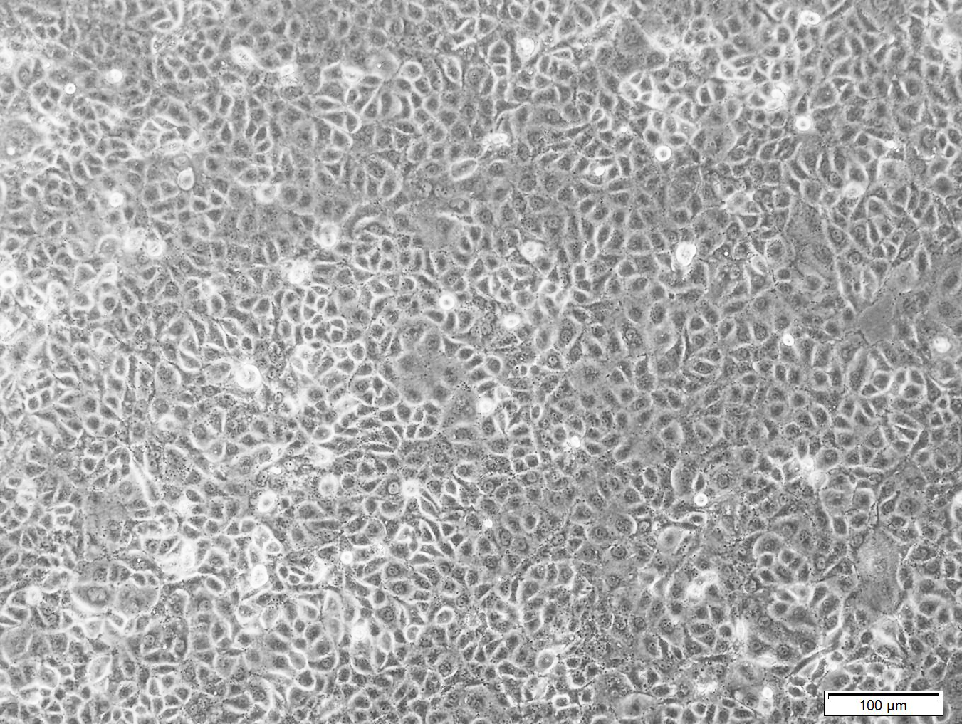 产品细节图片11