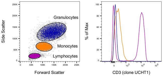 CD3 Antibody in Relative expression