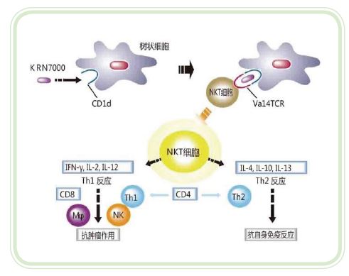 1114576669359083.jpg 4.JPG