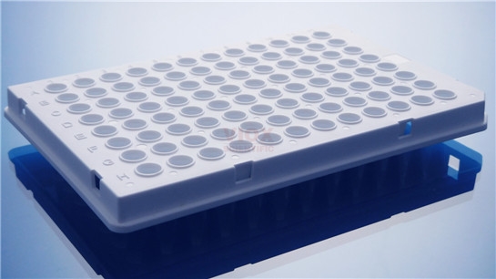 罗氏480专用PCR 96孔板  本生生物
