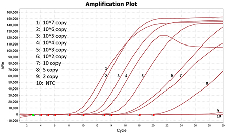 鸽新城疫病毒检测试剂盒 鸽新城疫病毒检测试剂盒