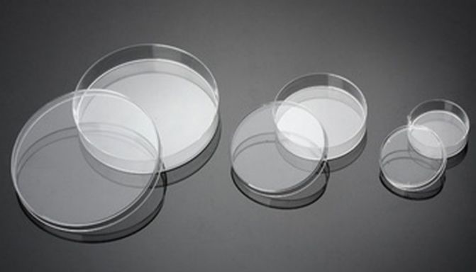 干货分享：生物实验室培养皿类型解析