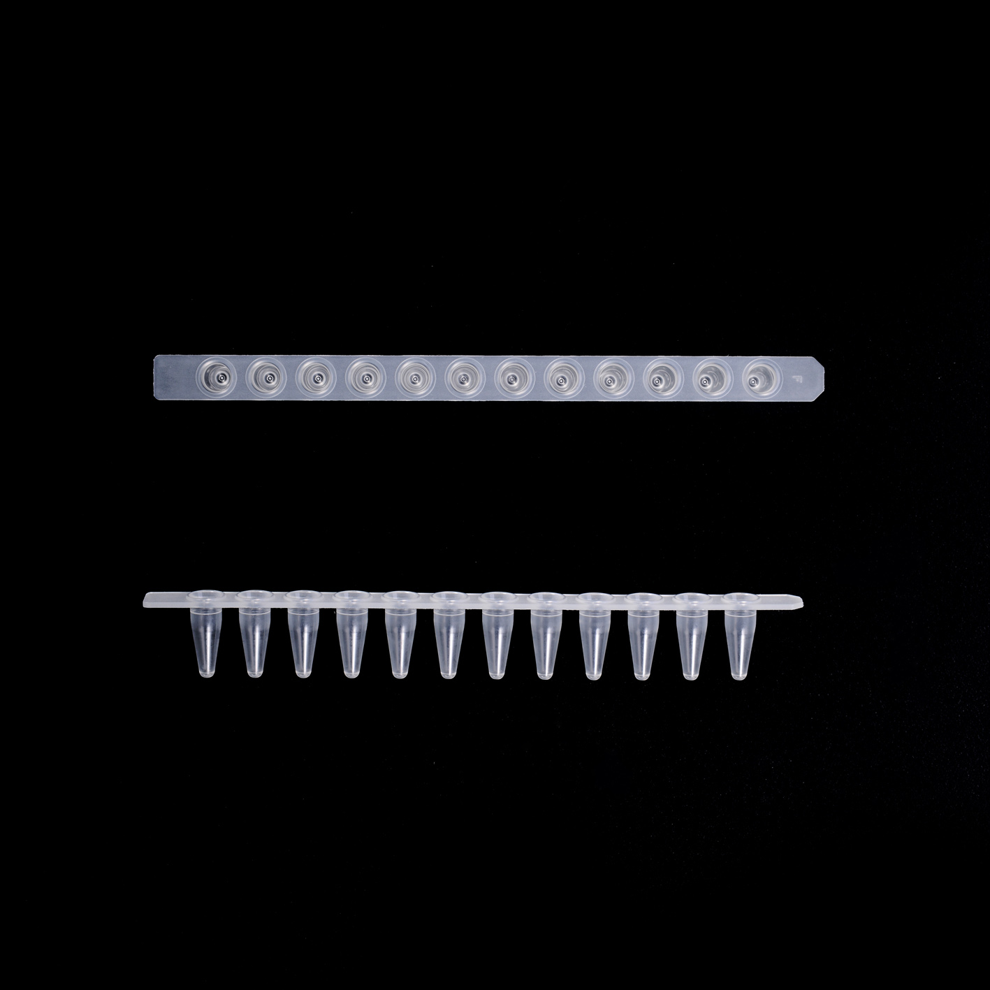 EU 0.1ml薄壁12联管(透明，加强连接）