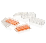 Thermo Scientific™ Nunc™ Lab-Tek™ 腔室盖玻片