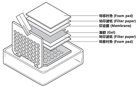 产品细节图片2