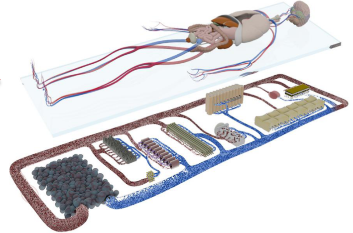 产品细节图片18