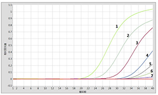 冻干非洲猪瘟实时荧光PCR检测试剂盒