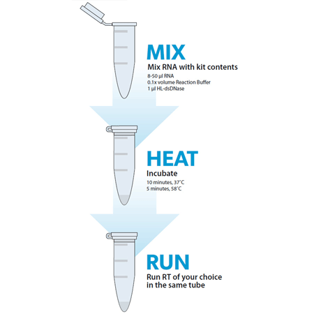 gDNA removal kit schematic