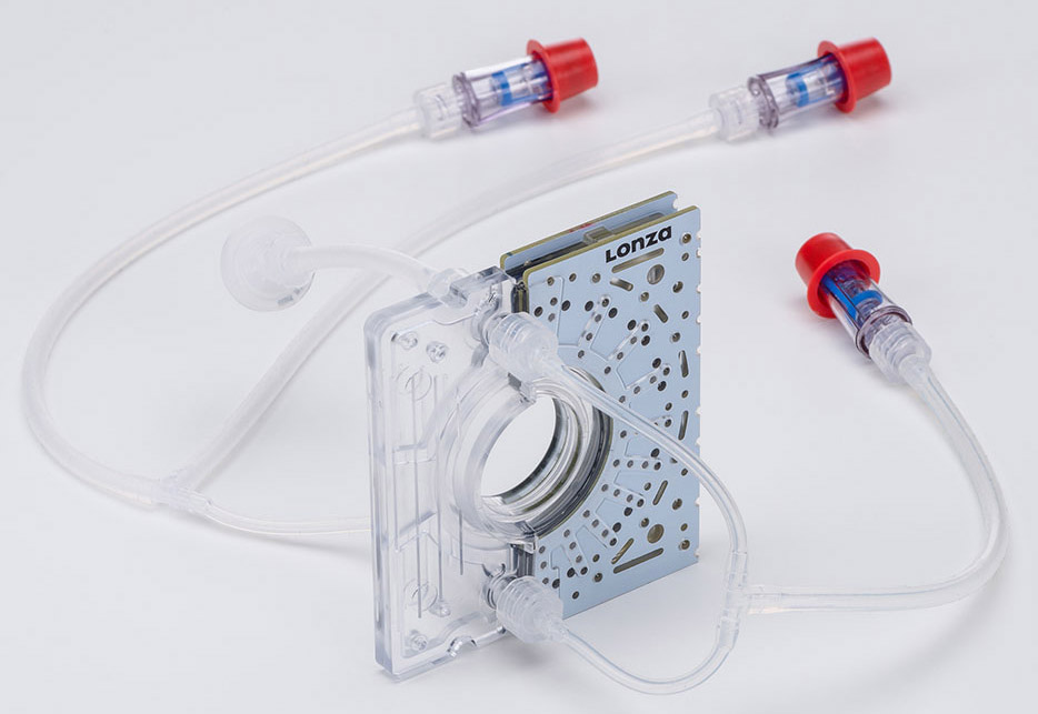 20201102133800_80989.jpg 20201102133800_80989.jpg