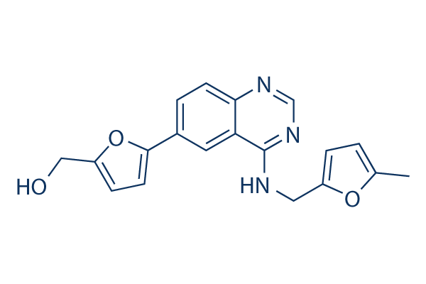 ML167 (CDK抑制剂)