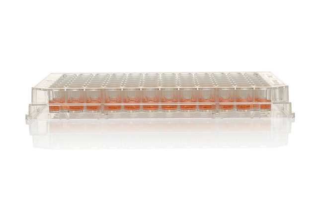 Nunc&trade; MicroWell&trade; 96-Well, UpCell-Treated, Temperature Responsive, Flat-Bottom Microplate