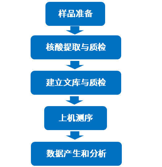 转录组测序/高通量测序/NGS