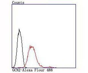 GCN2 antibody [ACAA-5]