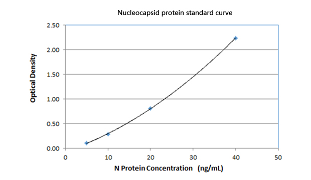 Anti SARS-CoV-2(2019-nCoV) Nuc