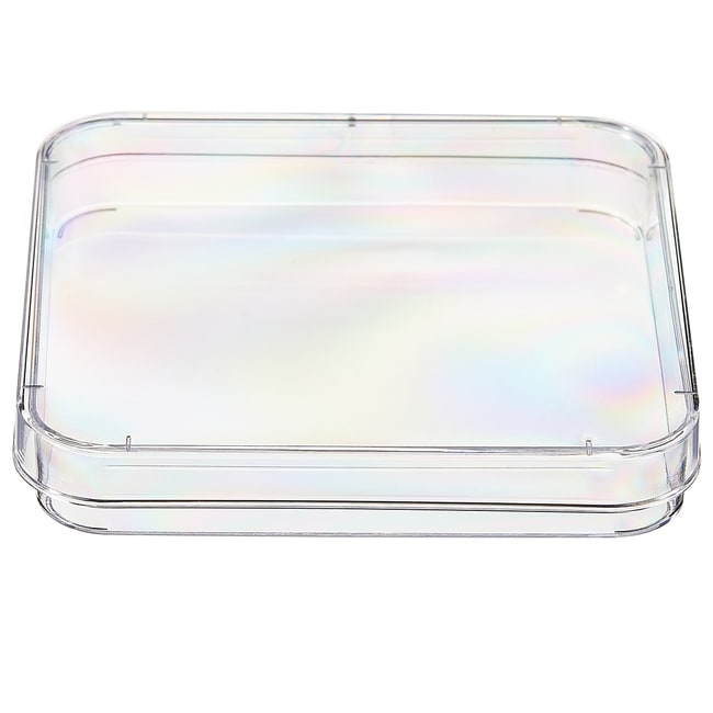 Nunc™ Lab-Tek™ 培养皿