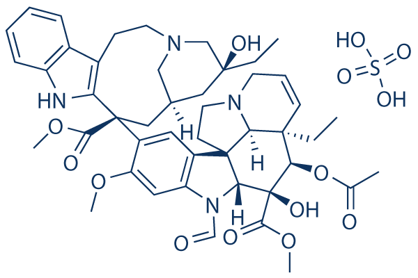 Vincristine (Microtubule Assos