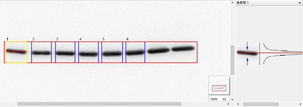 产品细节图片79