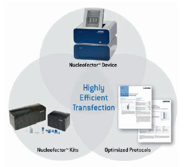 20190610103412_46891.png 4.png