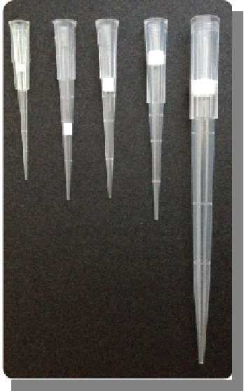 1000ul蓝色带滤芯盒装无菌短吸头