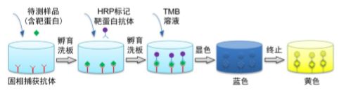 产品细节图片1