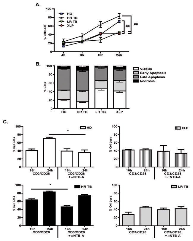 CD3 Antibody