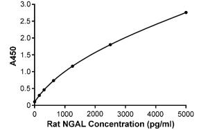 Rat NGAL ELISA Kit