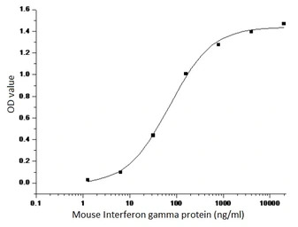 Mouse Interferon gamma protein