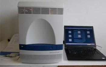 美国ABI 7500型实时荧光定量PCR系统