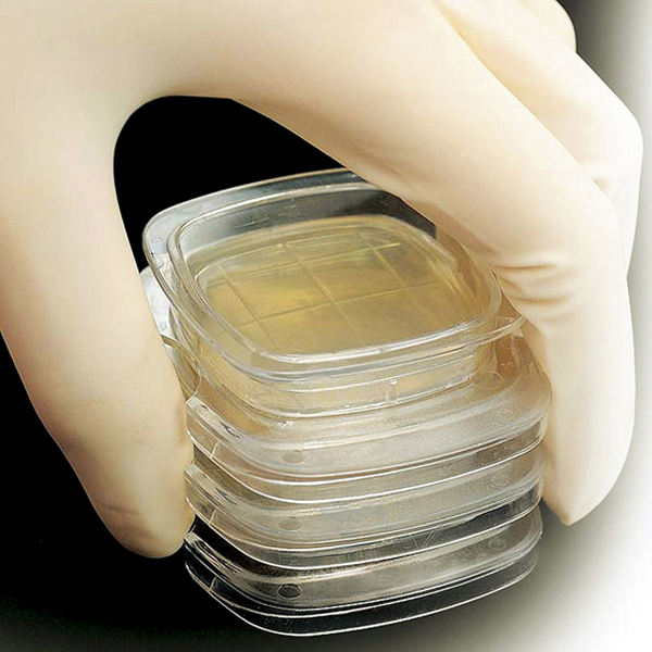 亚速旺ASONE 微生物快速检验测试片 （3M Petrif