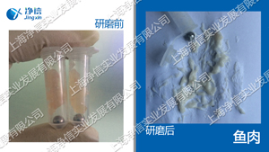 组织研磨仪|高通量组织研磨机Tissuelyser-192L