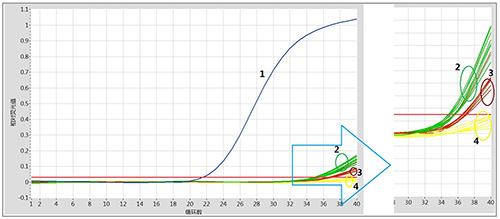 冻干非洲猪瘟实时荧光PCR检测试剂盒