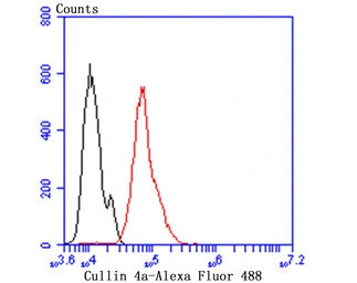 Cullin 4a antibody [JU07-33]