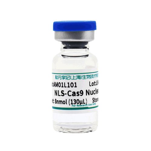 NLS-Cas9 Nuclease