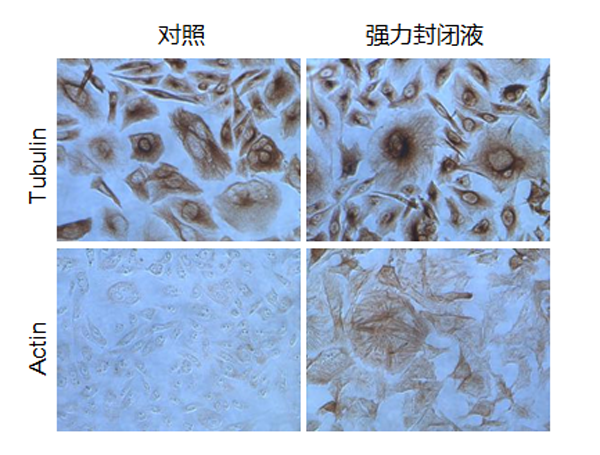 内源性过氧化物酶强力封闭液