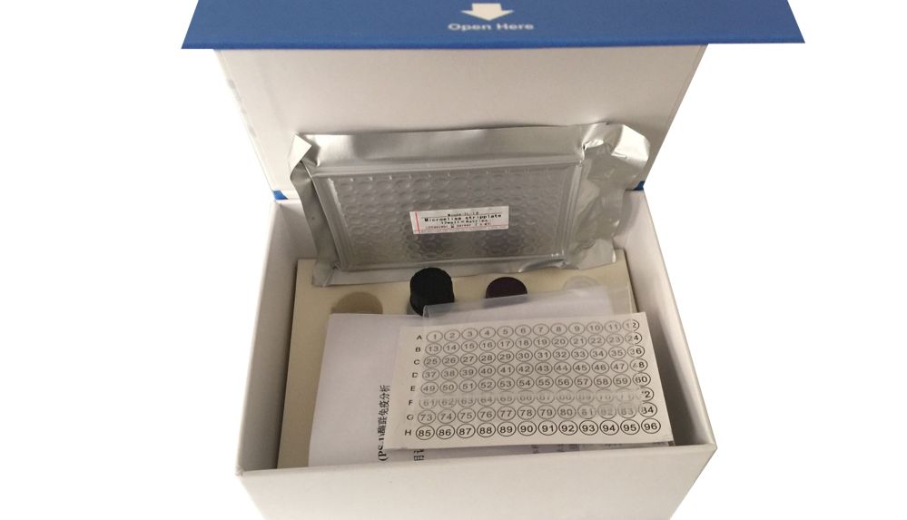 小鼠花生四烯酸(AA)检测试剂盒说明书