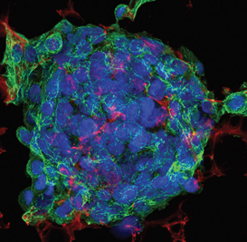 201582192350.png 图片.png