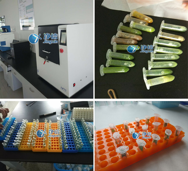 JXFSTPRP-576超高通量全自动样品快速研磨仪