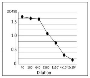 Salmonella enteritidis LPS ant