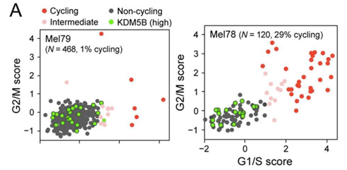 单细胞测序服务SMCXFW