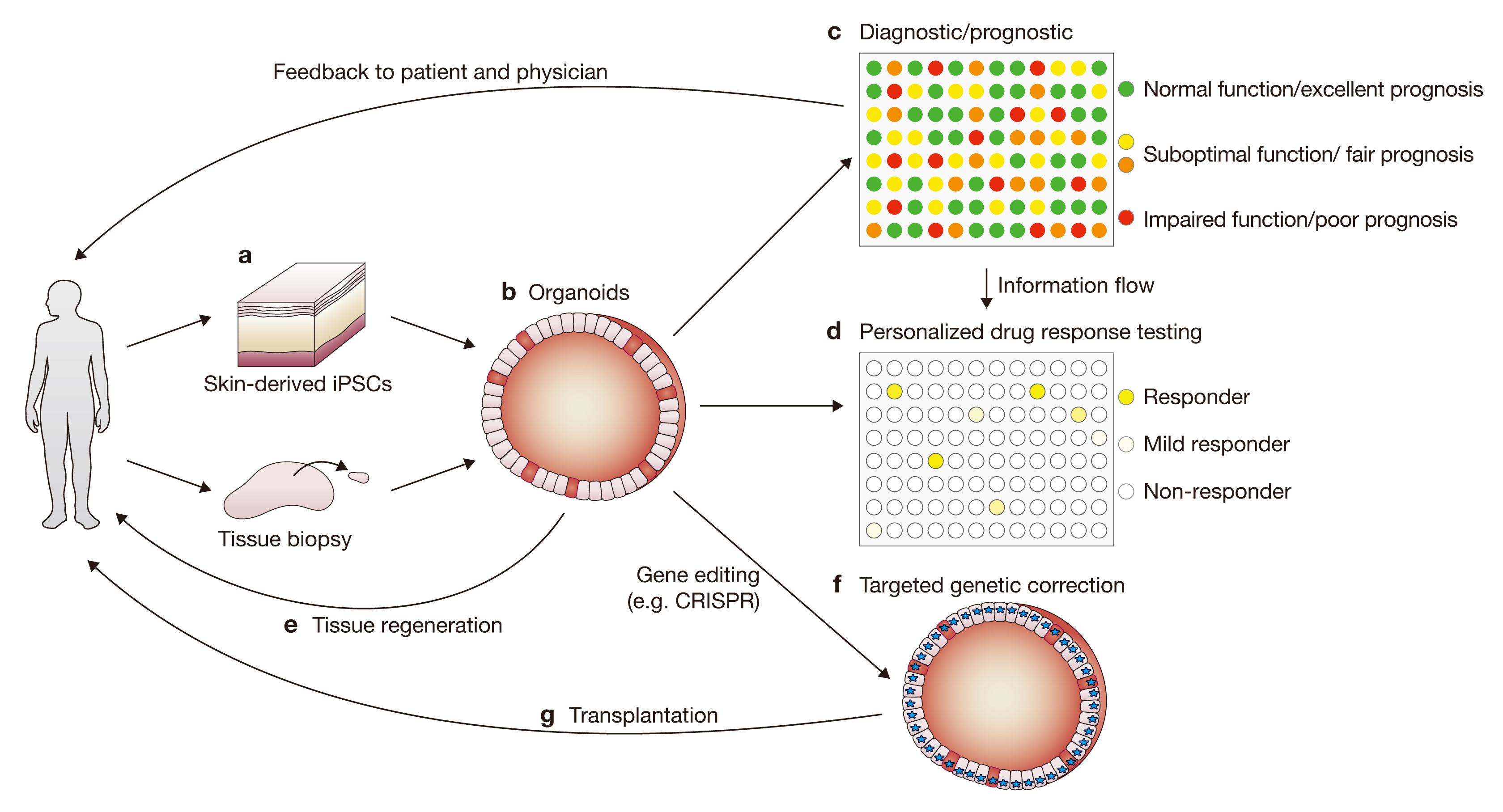 产品细节图片15