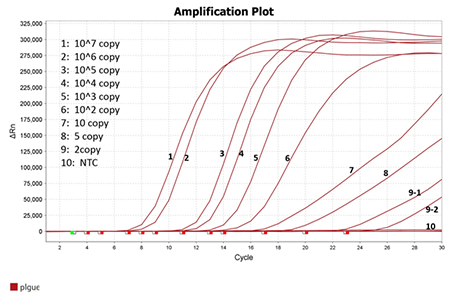鼠疫检测试剂盒（恒温LAMP-TaqMan荧光法）